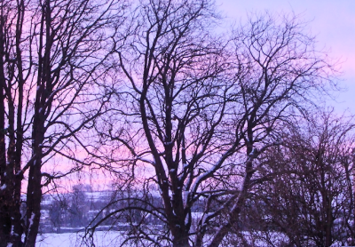 g1/30/802730/3/109038442.211WLHT1.jpg