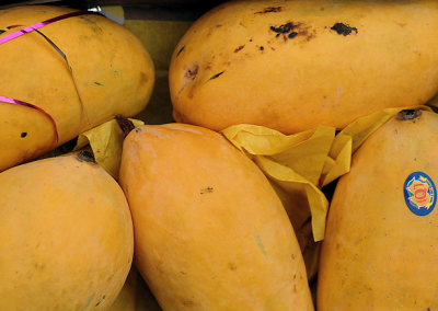 Mangoes, the fruit of Pakistan