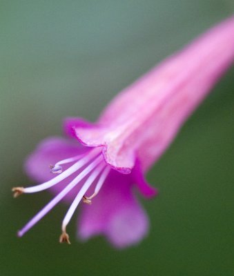 IMG_4891.jpg