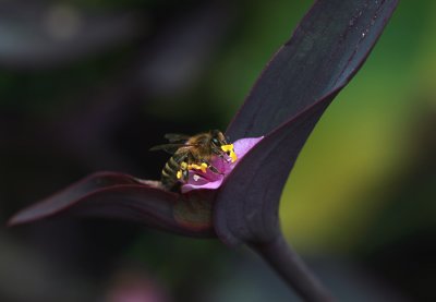 IMG_8068.jpg