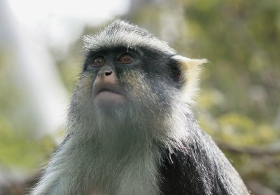 IMG_8513.jpg