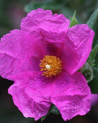 IMG_6834.jpg