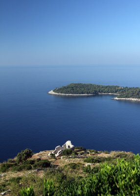 IMG_5095.jpg