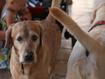 Friendly Faces 