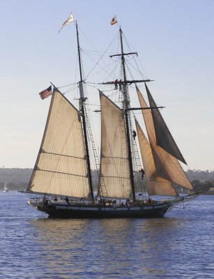 The Californian
