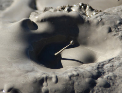 Salton Sea Mud Pot