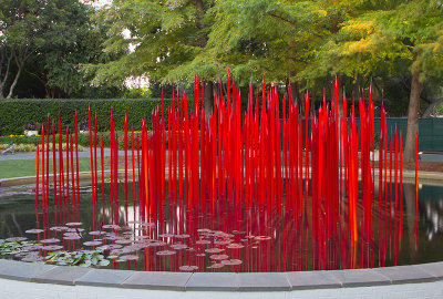 Red Reeds at A Woman's Garden