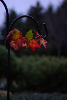 resize_10.JPG