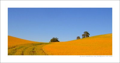 california meadow