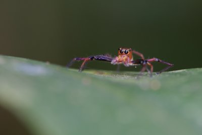 g1/30/903630/3/110711556.CNz6nZah.jpg