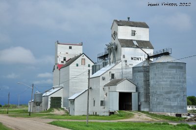 Minto - May 2010