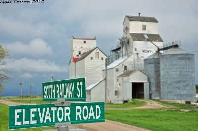 Minto- May 2010