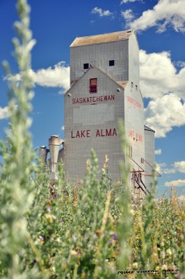 Lake Alma - July 2010