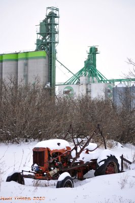 Oakner - December 2010
