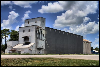Grain Elevator