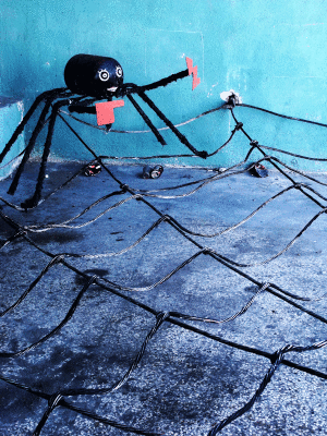 spiders web havana