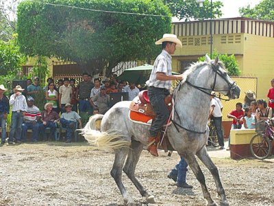 Horseman Guatemala