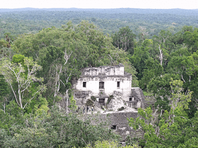 Tikal