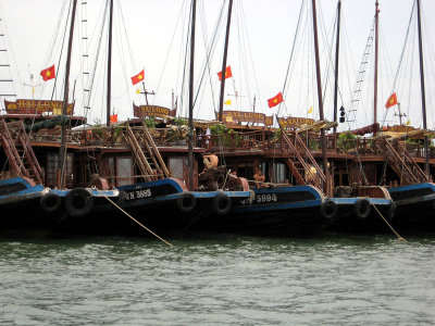 Ha Long Bay - Descending Dragon Bay