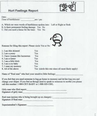 Hurt Feelings Report