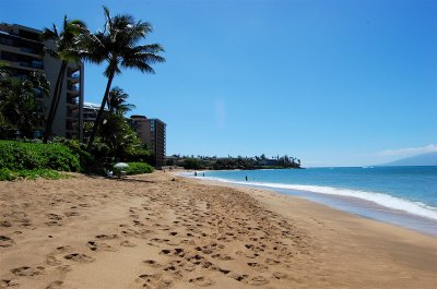 Looking South from Hotel beach