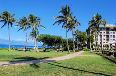 Airport Beach Park 2