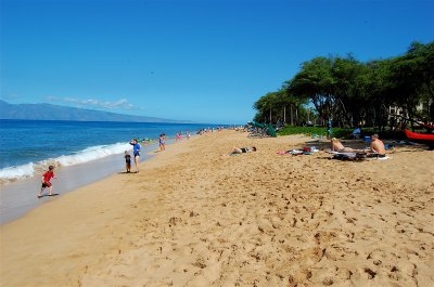 Looking North on Airport Beach