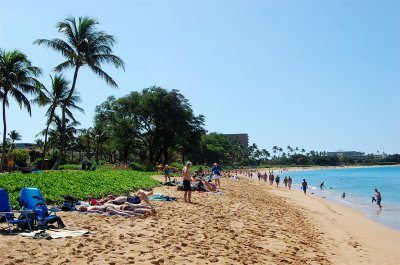 Looking South on Airport Beach