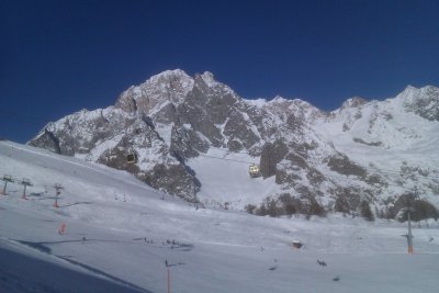 IMAG0733-1.jpg