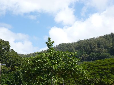 North Shore Oahu