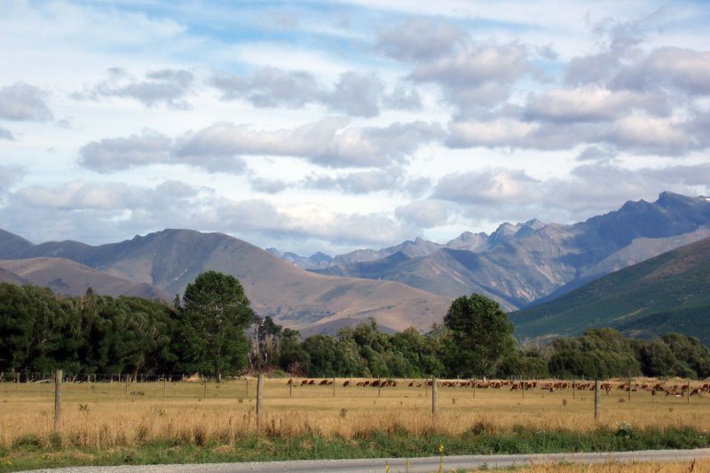 nr wanaka.jpg