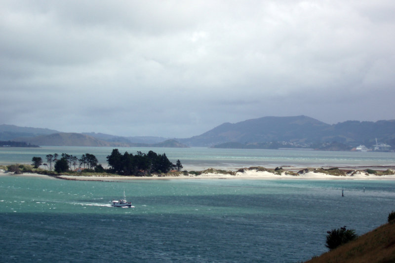 otago view.jpg