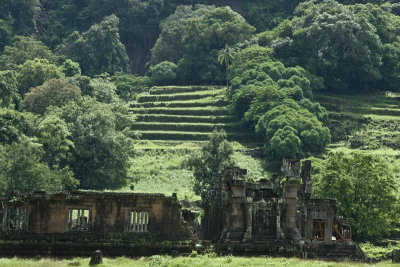 The lower temple, with a view of the steps, grown over, leading to the upper temple