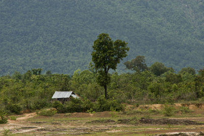 Lonely House