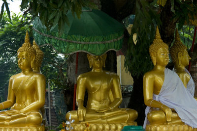 Buddha enclave