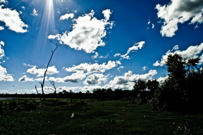 Sky