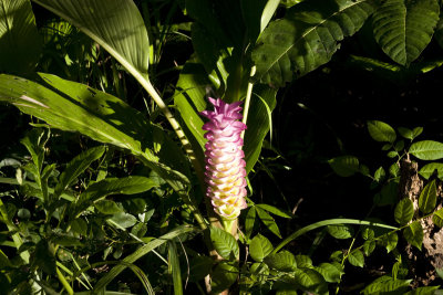 Rather phallic