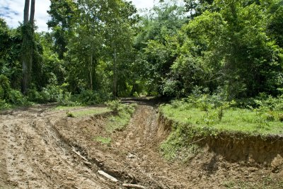 Yet another muddy road