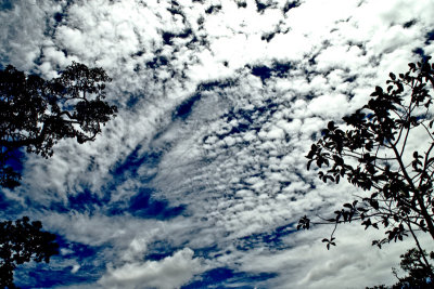 Big Kampuchean sky