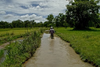 Rather a wet road