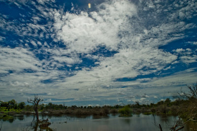 Waterlogged