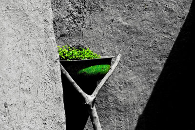 Desaturated but for the green