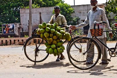 Coconuts