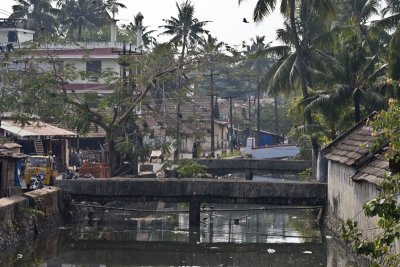 A little river runs through Kochi