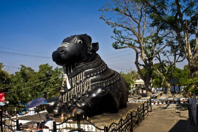 This Nandi is carved from a single stone. Very impressive