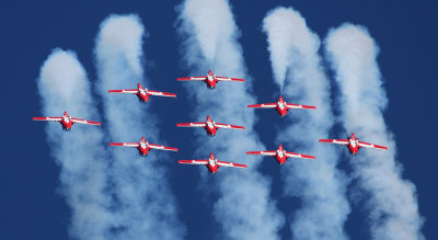 Snowbirds8 email.jpg