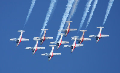 Snowbirds9 email.jpg