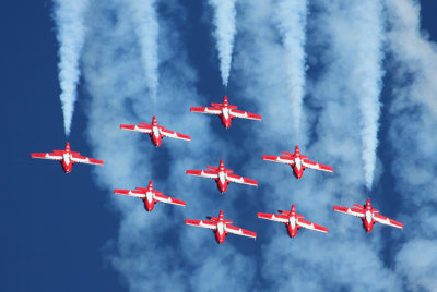 Snowbirds7 email.jpg