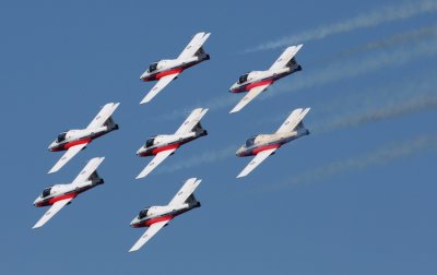 Snowbirds5 email.jpg