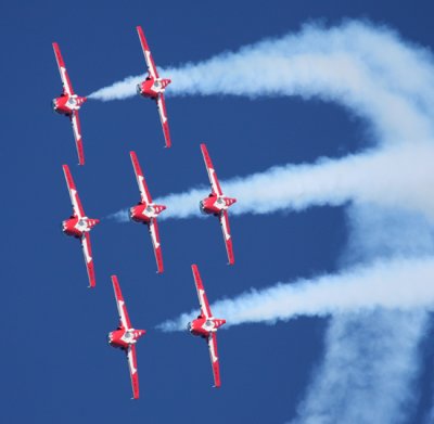 Snowbirds4 email.jpg